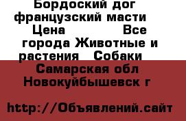 Бордоский дог ( французский масти)  › Цена ­ 50 000 - Все города Животные и растения » Собаки   . Самарская обл.,Новокуйбышевск г.